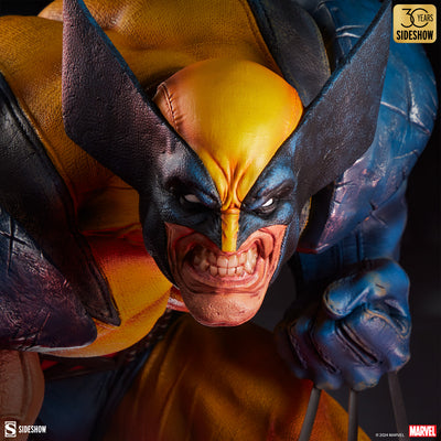 PRE-ORDER Wolverine: Berserker Rage