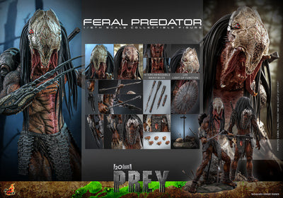 PRE-ORDER Feral Predator Hot Toys