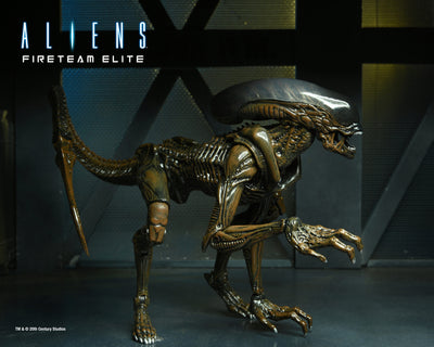 Aliens: Fireteam Elite 7” Scale Action Figures – Series 1- RUNNER ALIEN