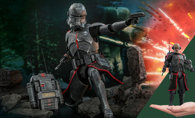 Echo Sixth Scale Figure Set By Hot Toys