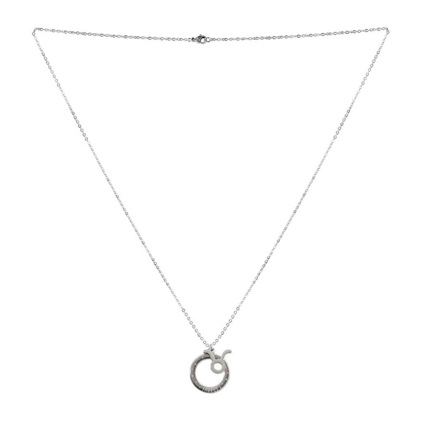 Taurus Charm Necklace