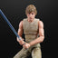 Star Wars 40th Anniversary The Black Series 6" Luke Skywalker (Dagobah) Figure