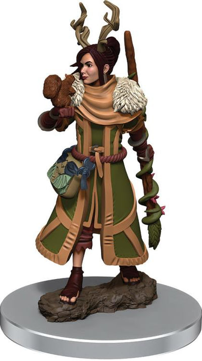 Dungeons & Dragons Icons of the Realms Human Druid (Female) Premium Painted Figure